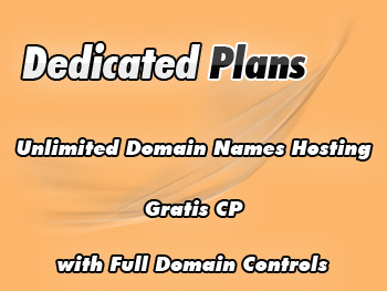 Inexpensive dedicated hosting server package